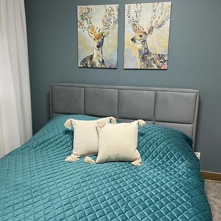 Apartament Sosnowy Zakatek Gliwice Exterior foto